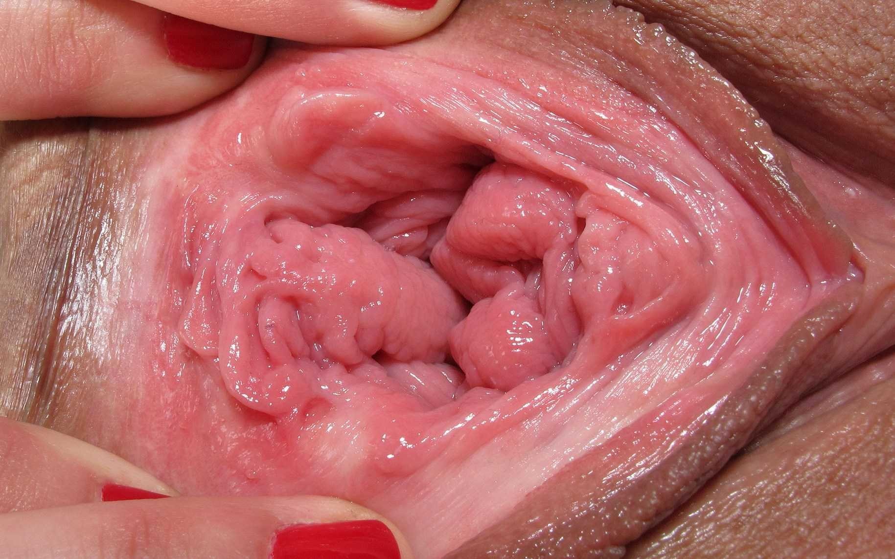 Inside Vaginal Video.