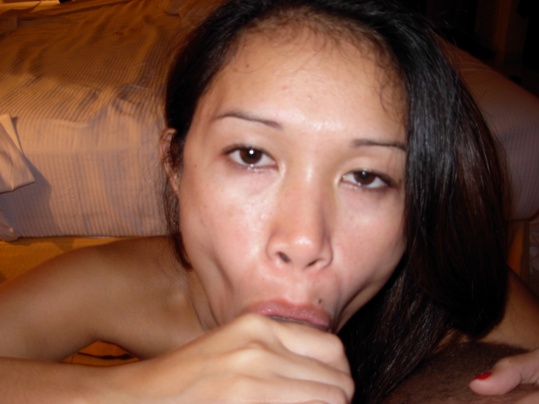 2048px x 1536px - Amateur Hairy Asian Girlfriend Giving Blowjob - Image Gallery #189995